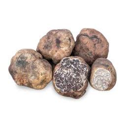 Spring White Truffle (Tuber borchii)
– Trufo