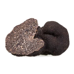 Garlic Truffle (Tuber macrosporum)
– Trufo